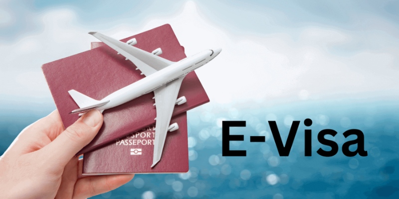 The eVisa application process is simple and quick.