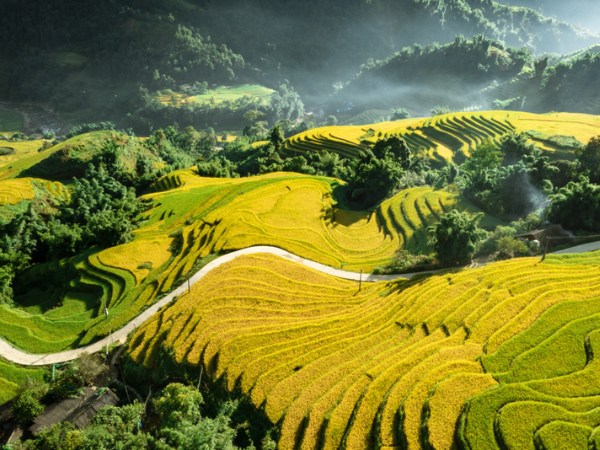 Vietnam has a comfortable climate around the year