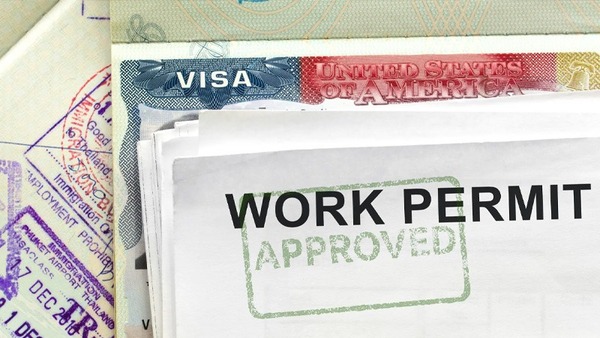 The application for a Vietnam work permit must be translated, notarized, and consular authorized