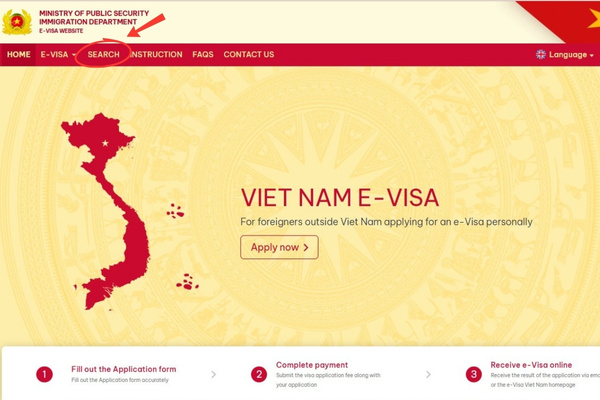 Visit the official E-Visa portal to enter information