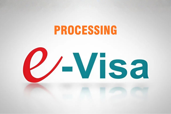 Contact the visa service to ensure your Vietnam e-visa is issued quickly