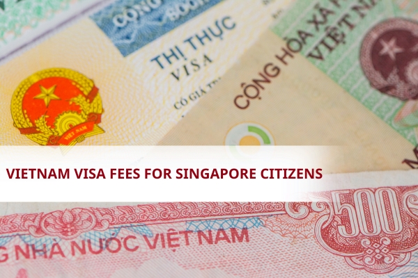 Vietnam visa application fees for Singapore citizens at Wexplore Vietnam are always transparent