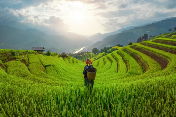 Vietnam has a tropical monsoon climate with temperatures of 21 – 35°C